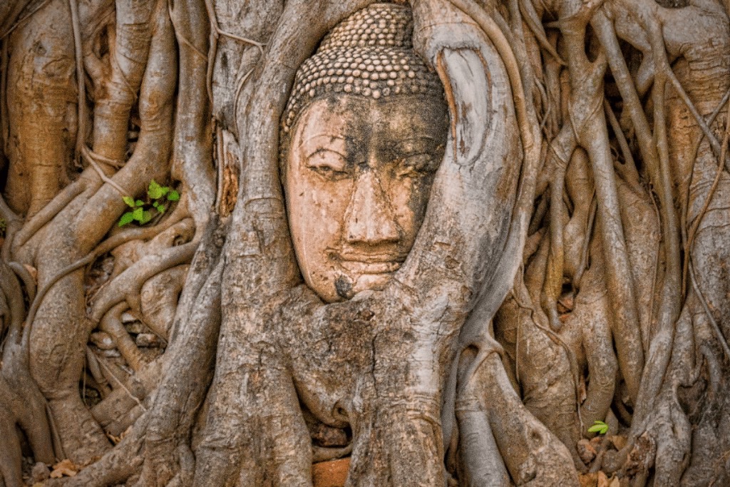 สถานที่สำคัญ ภายในวัดมหาธาตุ